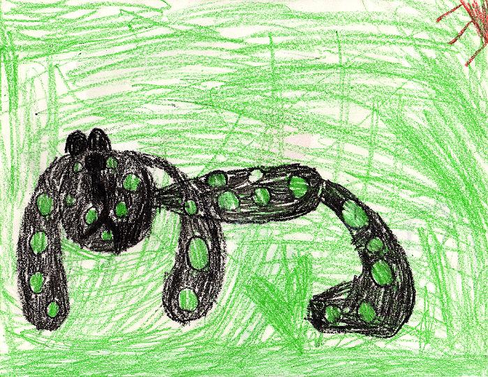 Green and black dog.jpg